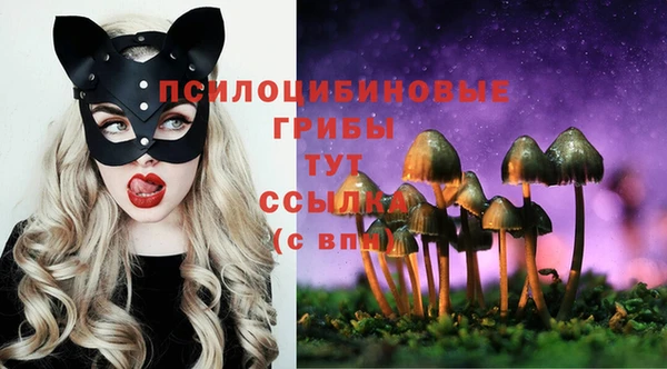 СК Киреевск