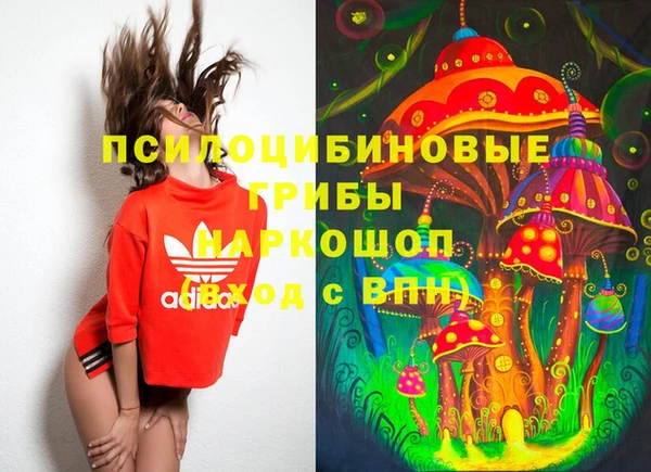 2c-b Кинешма